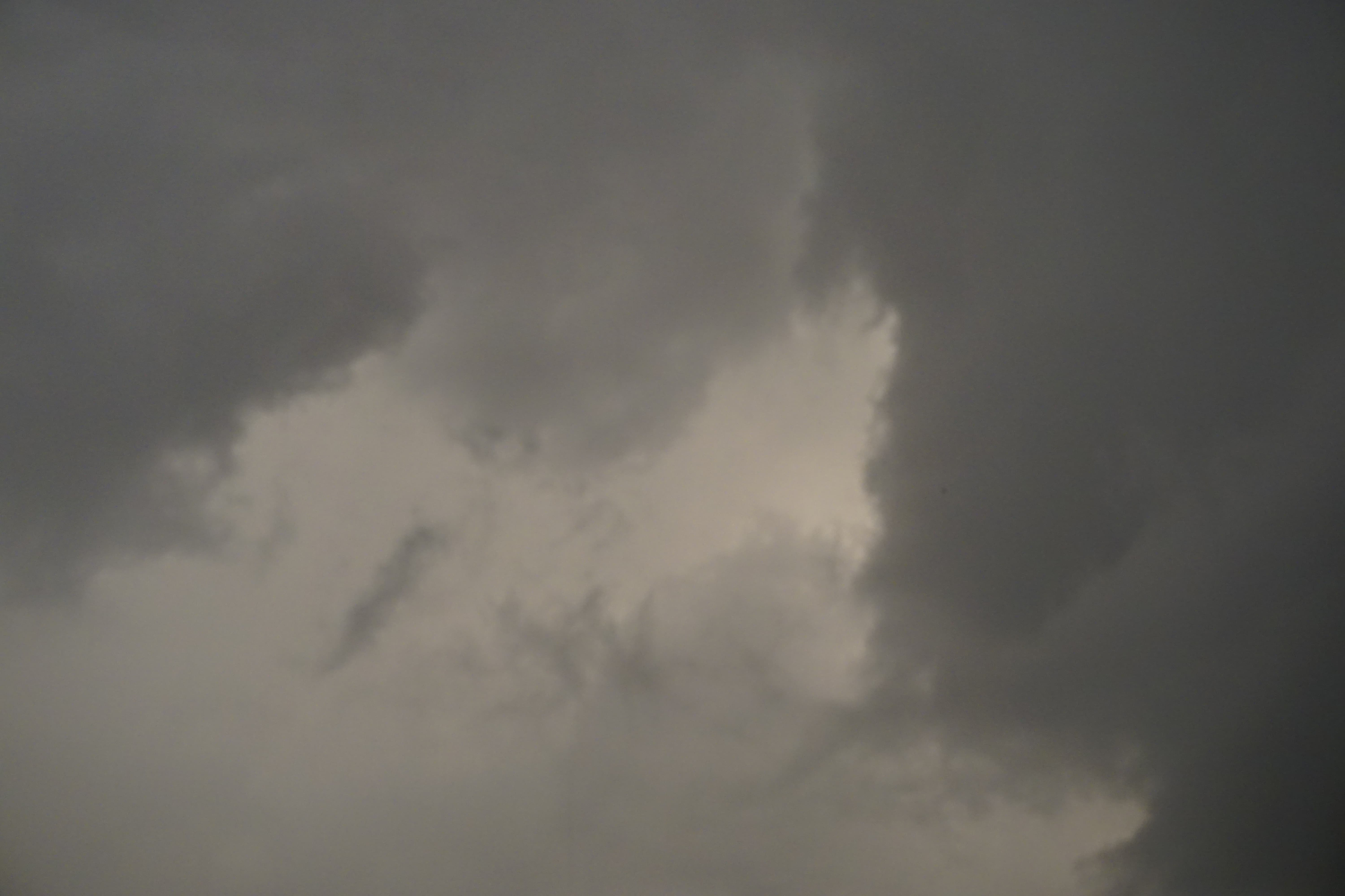 Photographer Buchach