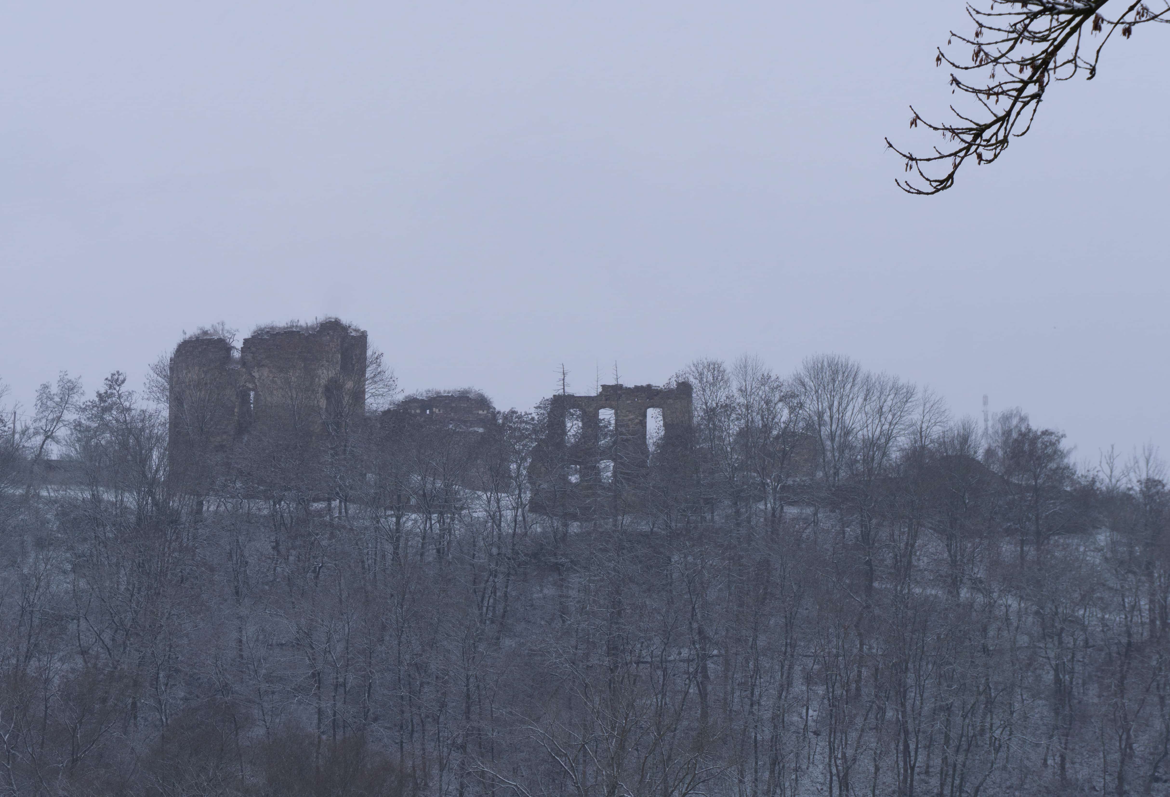 Бучацький замок